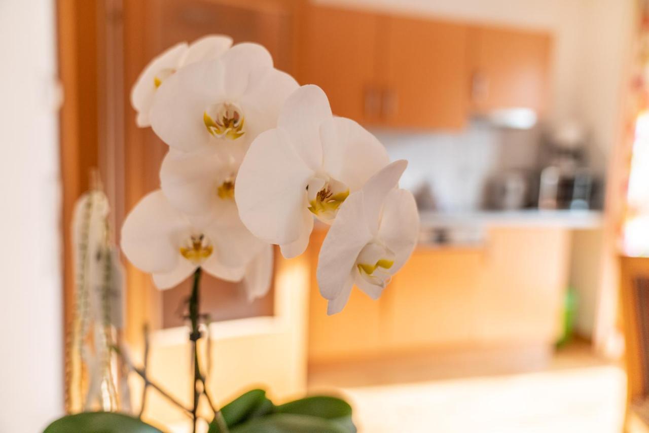 Appartementhaus Steirergasse By Schladming-Appartements מראה חיצוני תמונה